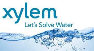 Xylem